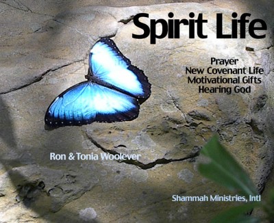 Spirit-Life640px